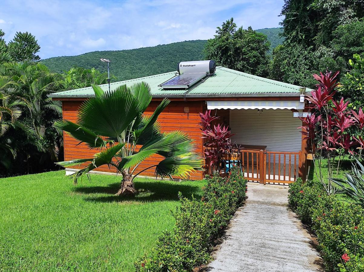 Le Tri Haut De Bellevue - Bungalow Colibri 黑角 外观 照片